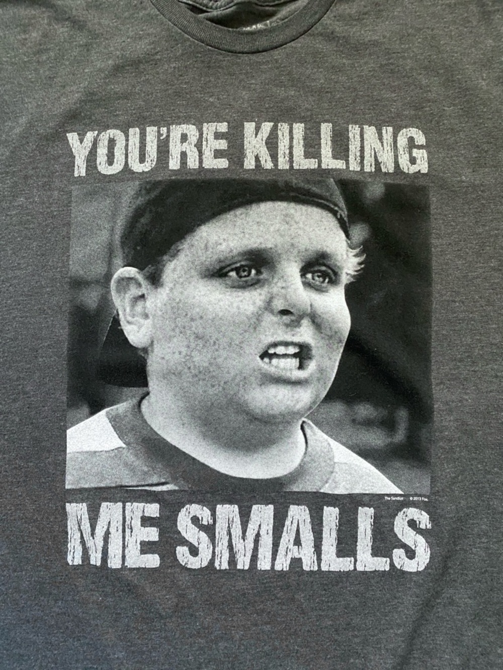 The Sandlot You’re Killing Me Smalls Graphic T-shirt Gray Pop Culture L - Picture 5 of 5
